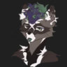 raccoonxp