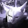 banathe
