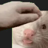 Selected profile picture