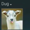 Selected profile picture