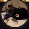 Matched profile picture