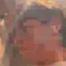 uhpigeon