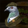 Selected profile picture