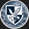 16AA Milsim