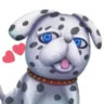 Selected profile picture