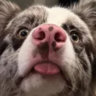 Selected profile picture
