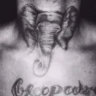 edsooonnn