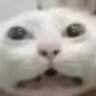 soap.js