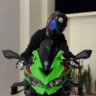 Matched profile picture