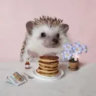 Matched profile picture