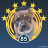 Matched profile picture