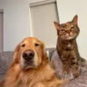 Matched profile picture