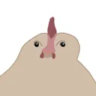 cllorax