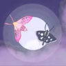 Moth Terra: A Building Game for Moths