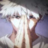 .myparatise