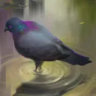Selected profile picture