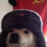 homiechank