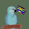 Selected profile picture