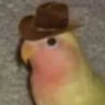 Selected profile picture