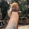Matched profile picture