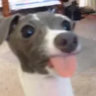 Matched profile picture