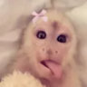 luluax