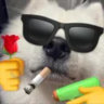 Selected profile picture