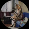 Profile picture