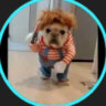 Selected profile picture