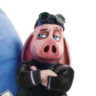Selected profile picture