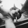pilo_dnb