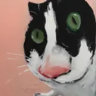 Selected profile picture