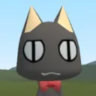 solatorobo