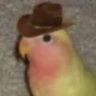 Selected profile picture