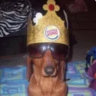 mr.uppix