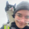 Matched profile picture