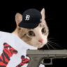 Profile picture for this group