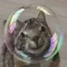 derpykat._.