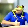 Selected profile picture