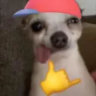 Selected profile picture