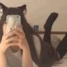 Selected profile picture