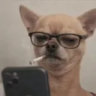 Matched profile picture