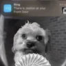 Selected profile picture