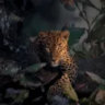 king_indrajeet