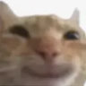 mn6j