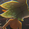Selected profile picture
