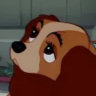 puppygoogoo.