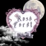 🌹Rosé Forêt Events🌹