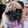 Matched profile picture
