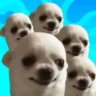 Matched profile picture